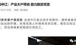 四川经济新闻爆料网,聚焦川企发展动态，解码经济新趋势